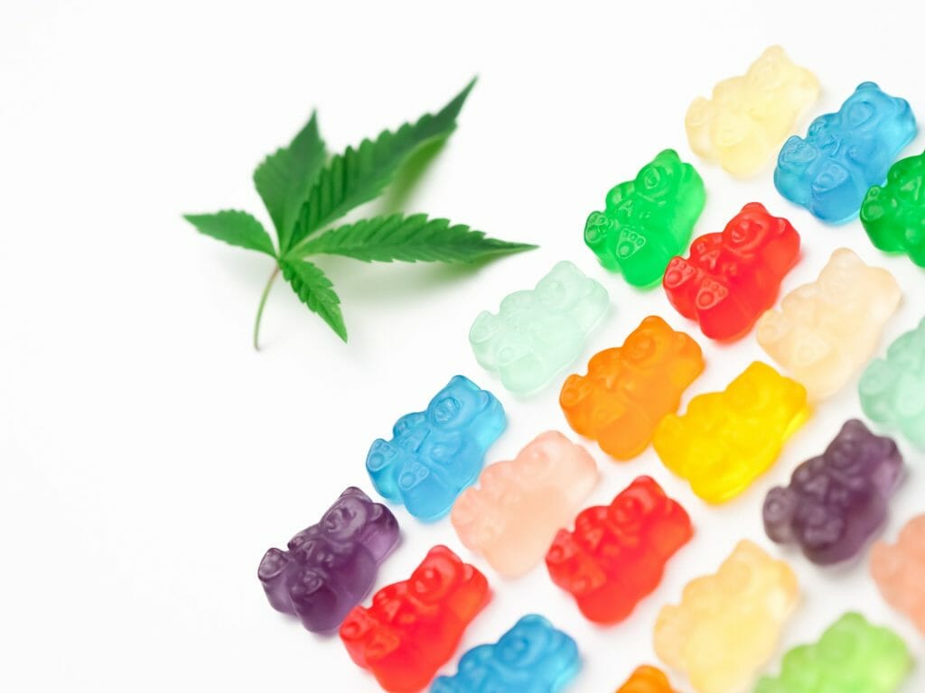 Edible Delights: A Guide to the Most Delicious cannabis in Edmonton | Online Dispensary Canada Shop | Online Dispensary Canada Shop