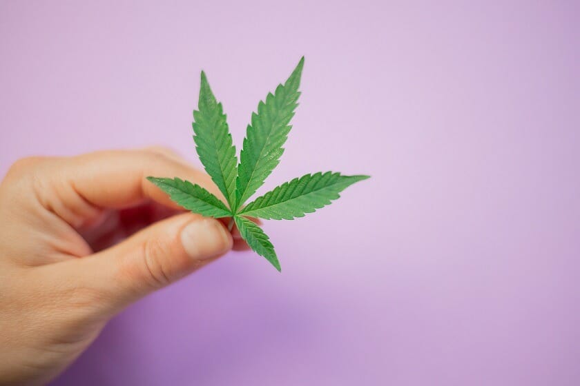 Discover How A cannabis Shop Helps You Better Understand Cannabis | Online Dispensary Canada Shop | Online Dispensary Canada Shop