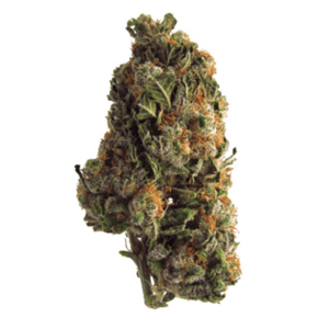 Grape Crush | Online Dispensary Canada Shop