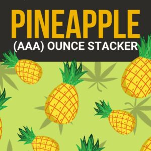 Pineapple 1 OZ Kit | Online Dispensary Canada Shop